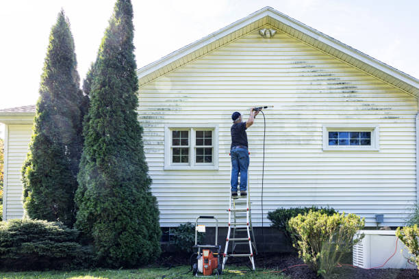 Deck Cleaning Services in Camino Tassajara, CA