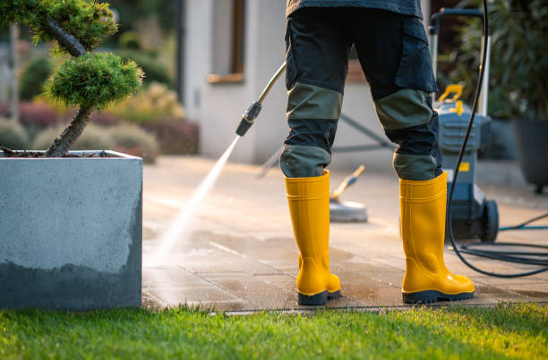 Best House Pressure Washing  in Mino Tassajara, CA